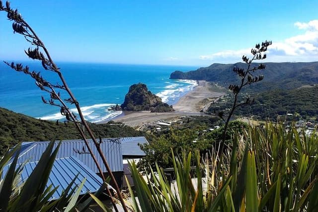 Private Auckland Sightseeing - Full Day/Half Day Hidden Gems Tour