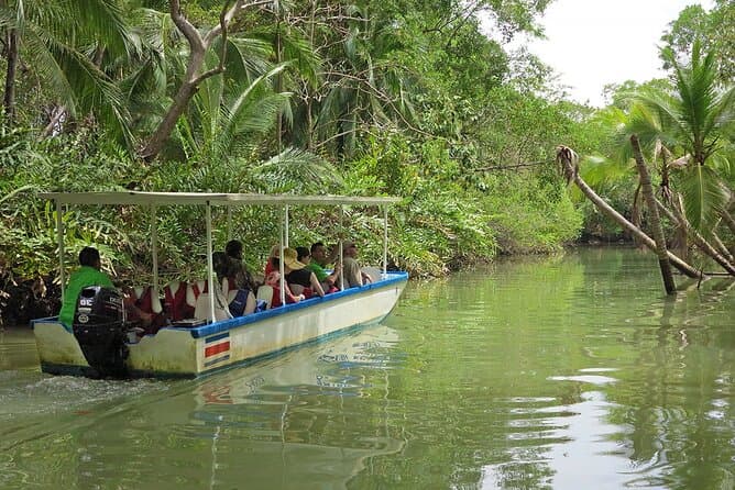 Damas Island Mangrove Boat Tour