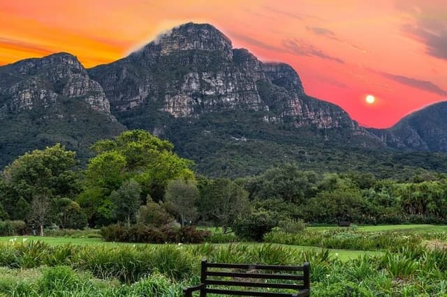 Kirstenbosch Gardens Walk