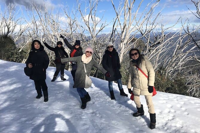 Best-Rated Mount Buller Day Trips from Melbourne