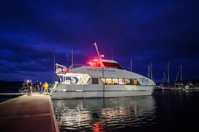 Sea to Sky Dark Sky Cruise Experience in Tasmania
