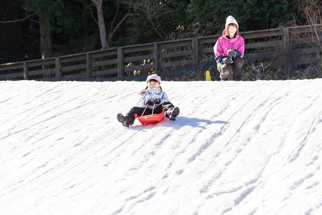 Play with Snow Crab Buffet Lunch and Strawberry Picking Bus Tour