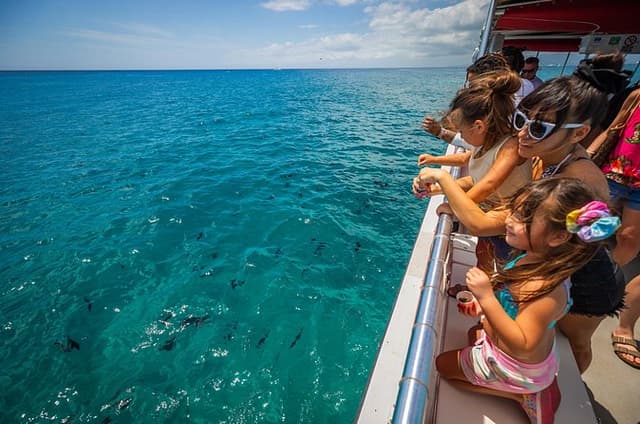 Waikiki Glass Bottom Boat Cruise