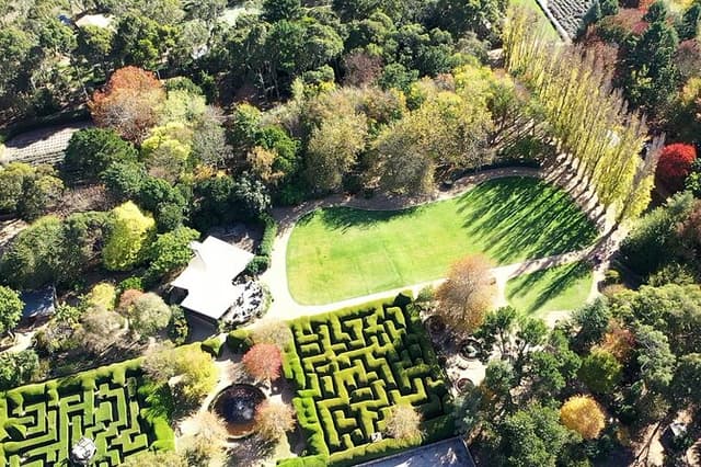 Ashcombe Maze & Lavender Gardens