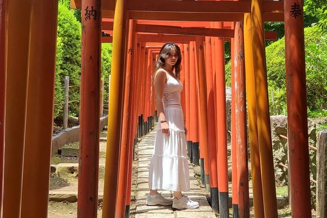 Tokyo Private Driver-Guided Tour