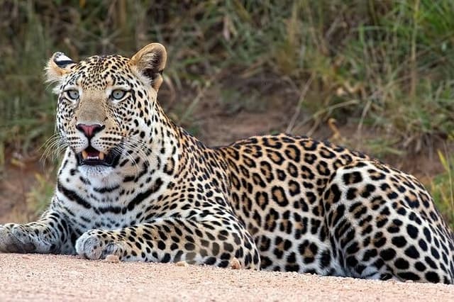 Lake Nakuru National Park Day Trip