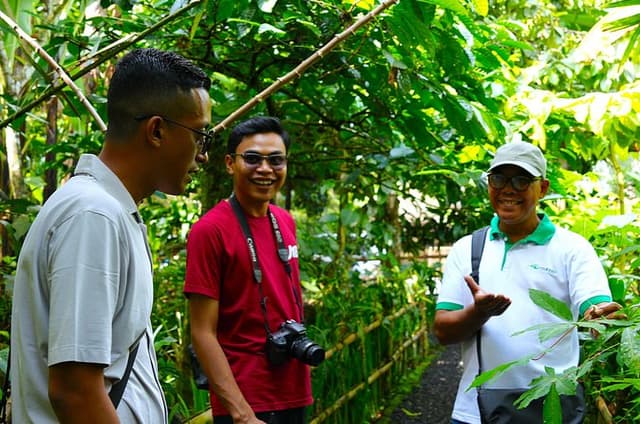 Highlight of Bali Tour
