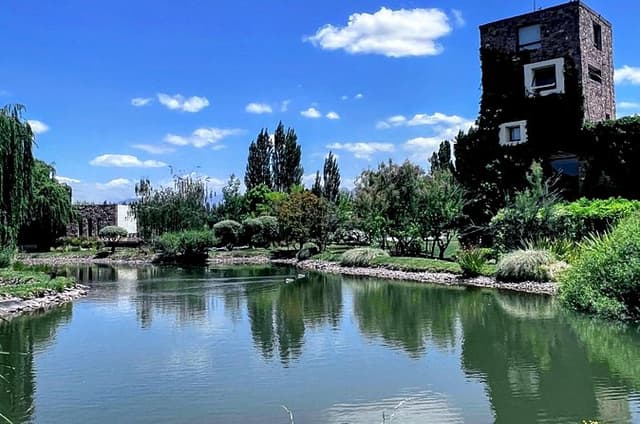 Michelin Recommends in Mendoza