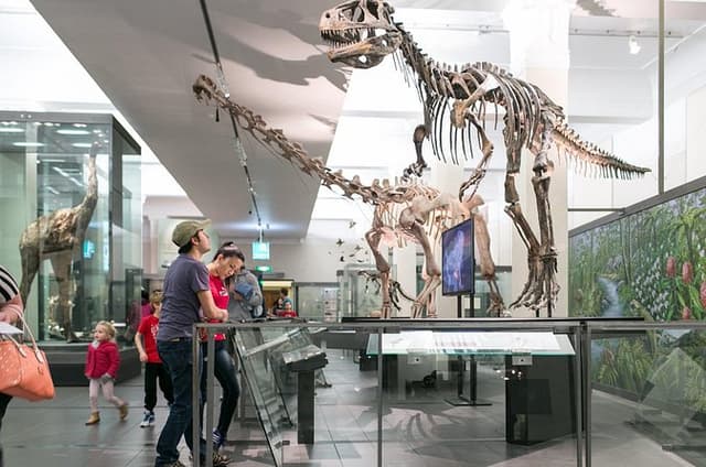 Skip the Line: Auckland Museum General Admission Ticket