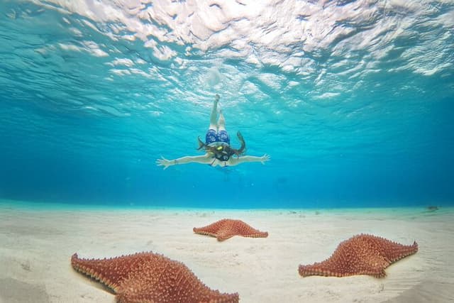El Cielo Snorkeling Tour & kuza Beach, Buffet & Open Bar Included