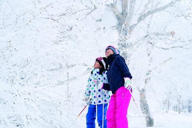 Hokkaido winter experience!Let's go to Alpen Bibai Snowland or ski by private car (Sapporo departure/arrival).