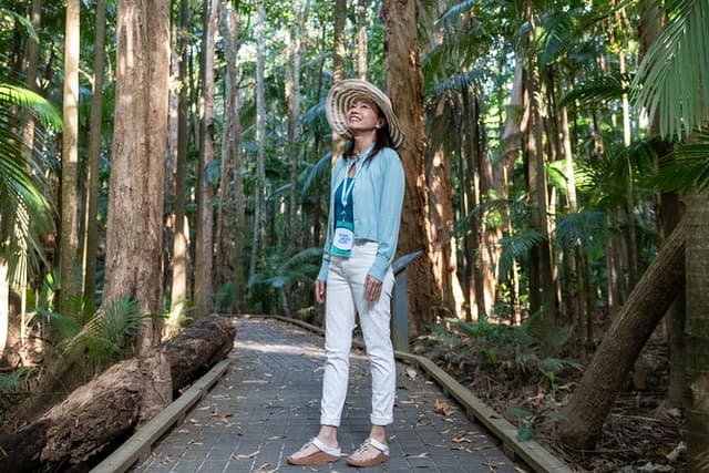Small Group Waterfall Wetlands+ Skyrail All Inclusive from Cairns