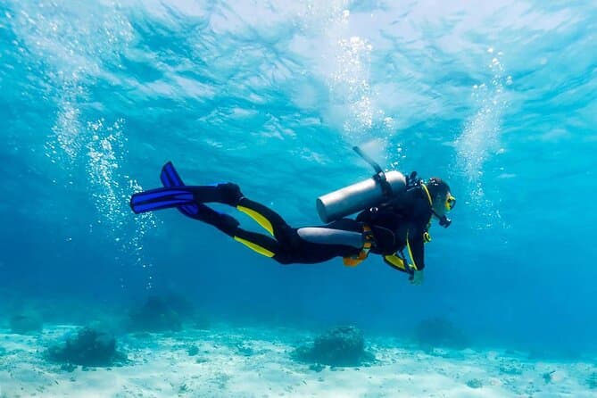Compare Best Diving Tours in Ilha Grande