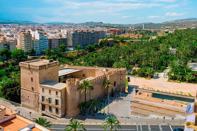 Elche Private Half-Day Tour from Alicante