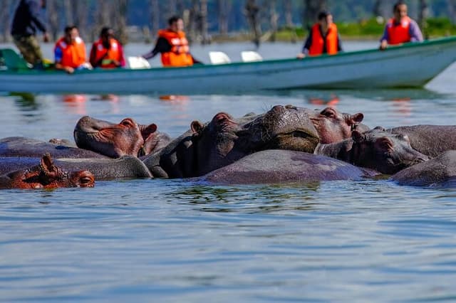 Hell's Gate and Lake Naivasha Day Tour