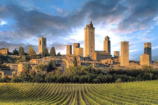 VAN Pickup: WINE TASTING in TUSCANY+ SAN GIMIGNANO-MAX8pp