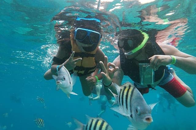 The Perfect Day in Chankanaab Park Cozumel