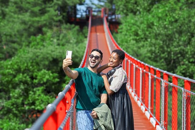 Best DMZ Tour Korea from Seoul (Suspension Bridge & JSA Museum)