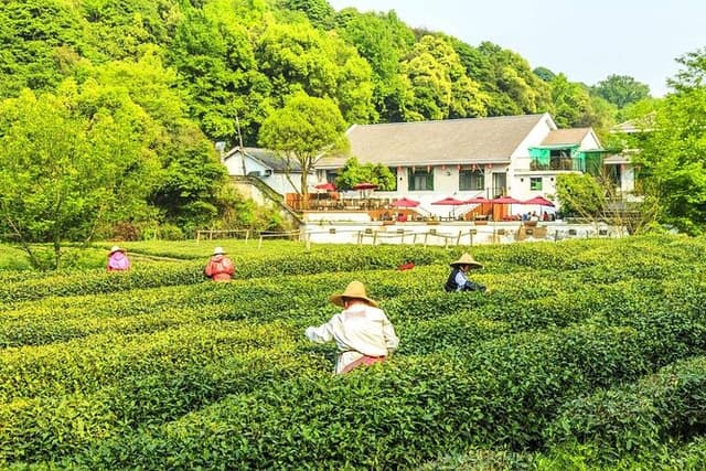 1 Day Hangzhou Private Tour - Adventure crafted in your way