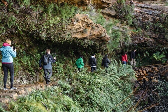 Best Blue Mountains Day Tours & Scenic Adventures