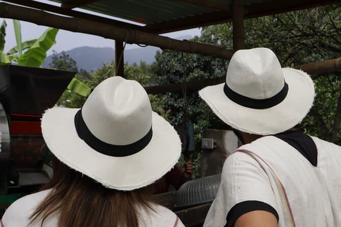Authentic Bogotá Coffee Tasting & Sensory Experience