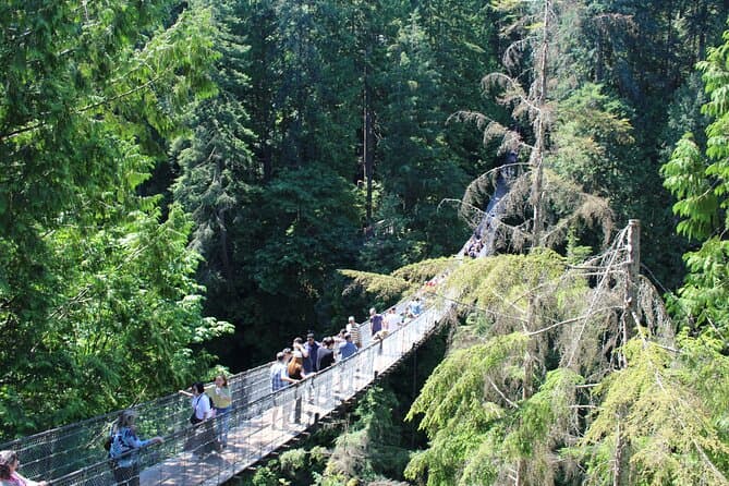 Best Capilano Suspension Bridge & Grouse Mountain Tours