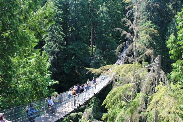 Grouse Mountain, Skyride Gondola & Capilano Bridge from Vancouver
