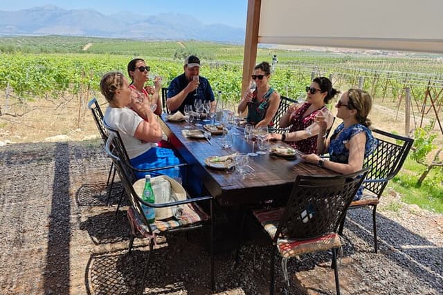 Private Winery Tour with Olive Oil, Honey & Raki Distillery Visit