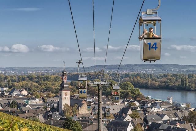 from Frankfurt: River Rhein, Ruedesheim, Loreley and Mini Cruise