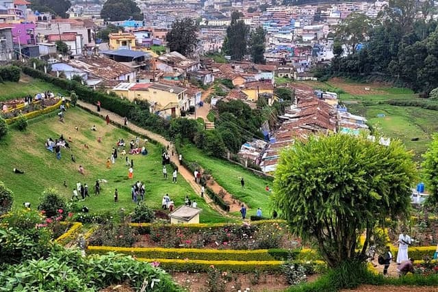 Coimbatore to Ooty Day Trip - Explore A Perfect Hill Station
