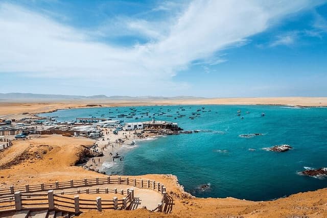 Tour DE Paracas National Reservation