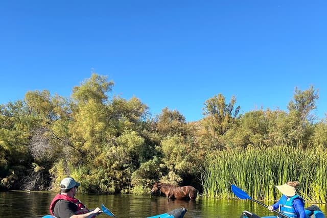 Lower Salt River Guided Kayak Tours