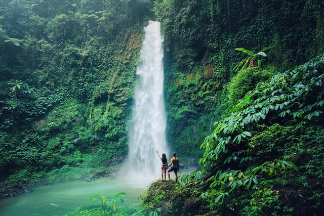 Discover The Best of Ubud: All-Inclusive and Private Guided Tour