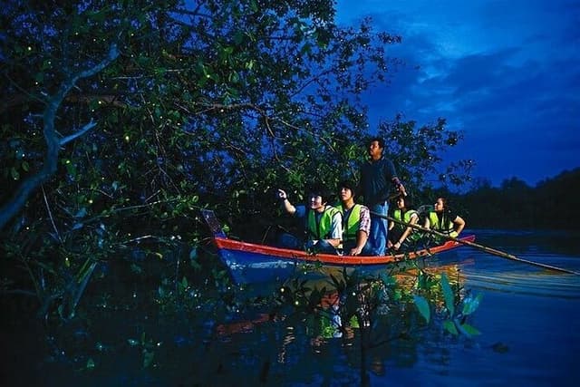 Enchanting Evenings: Fireflies & Blue Tears Tour with Dinner