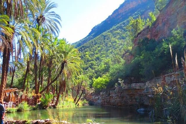 Private Guided Tour to the Paradise Valley and Taghazout village