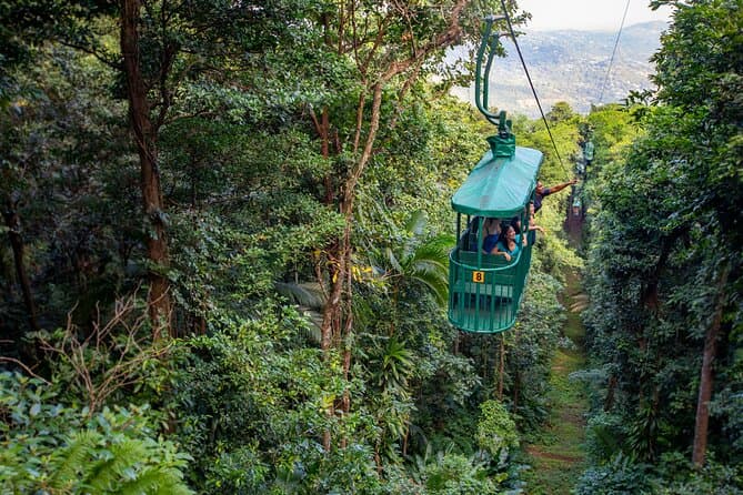 Compare Best Rainforest Tours in Castries