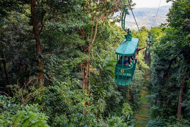 St Lucia Ultimate 3: Aerial Tram, Zipline and Hiking at Rainforest Adventures