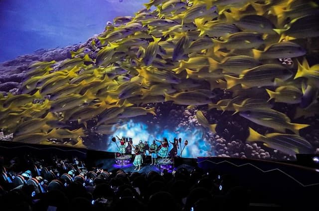 Mele: The Hawaiian Music Experience