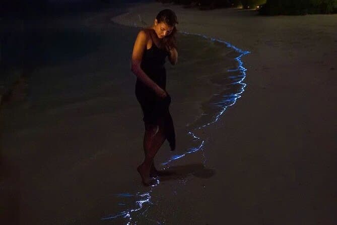 Lan Ha Bay Night Kayaking: A Bioluminescent Sea Adventure