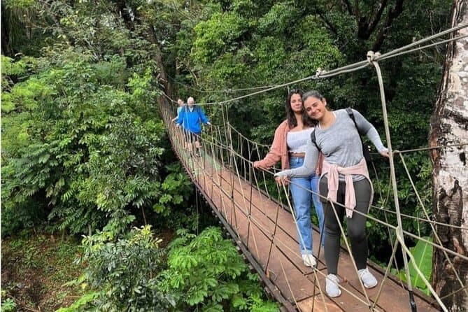 Top-Rated Roatan Island Tours & Activities
