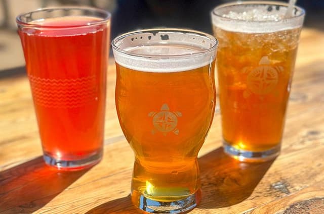 Hike Colorado Trails with Local Guide and Beer Tasting