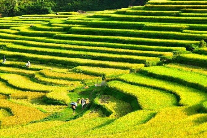 Best Pu Luong Trekking Tours from Hanoi