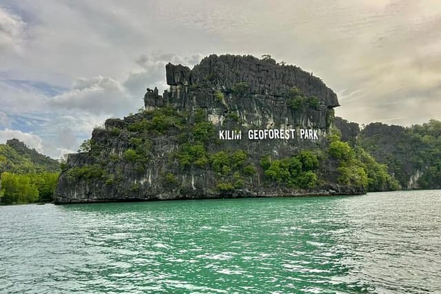 3 Hours Mangrove Boat Tour in Langkawi