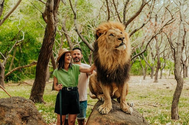 Casela - Walk With Lions