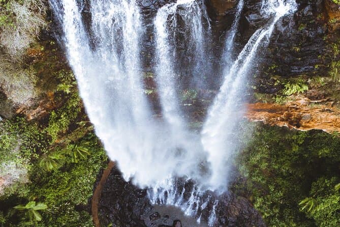 Explore Springbrook & Natural Bridge Tours
