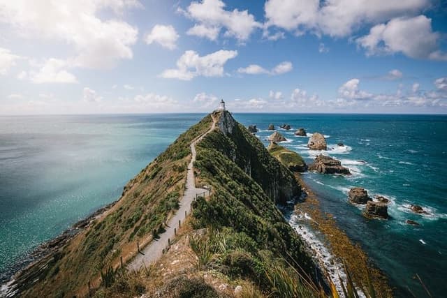 Invercargill to Dunedin via the Catlins Small Group 1 Way Tour