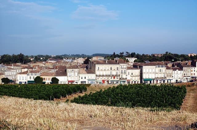 Half-Day Private Tour from Bordeaux to Blaye Citadel