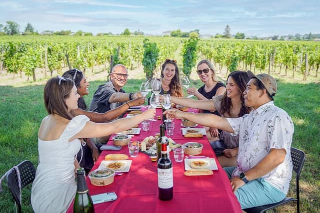 Bordeaux Full Day Wine Tour - 3 Wineries & Gourmet Picnic Lunch