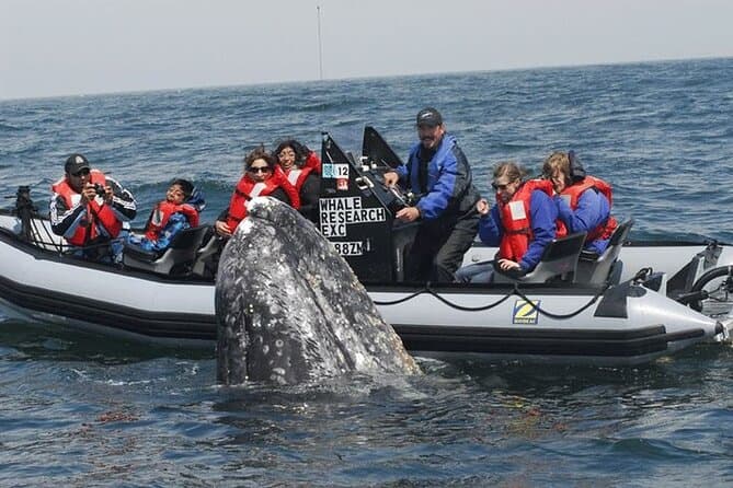 Explore Top Attractions with a Saint John City Tour