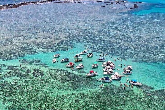 Boat Tour in Maragogi